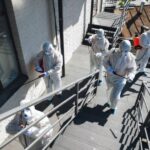 Mold Remediation Newport Beach