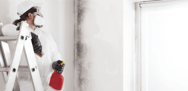 Mold remediation Los Angeles CA